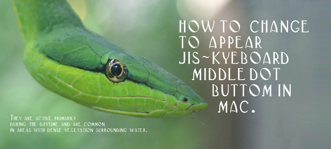 Macのキーボードで中黒（・）をoption使わずに出す方法