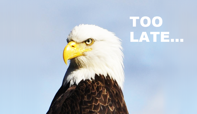 thunderbirdでフリーズとか