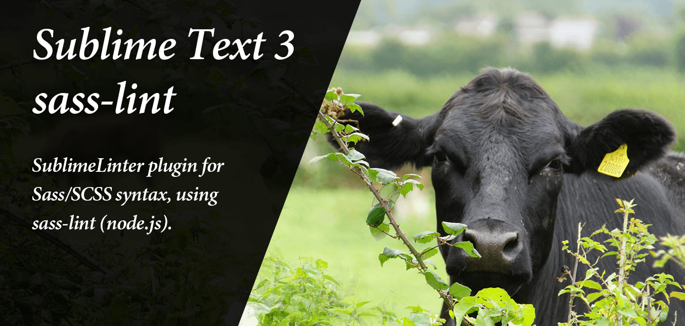 Sublime Textでsass・scssのlintのカスタマイズできる設定方法