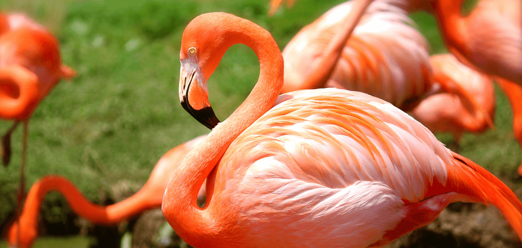 Swiperで左右の画像のはみ出し具合をカスタマイズする方法