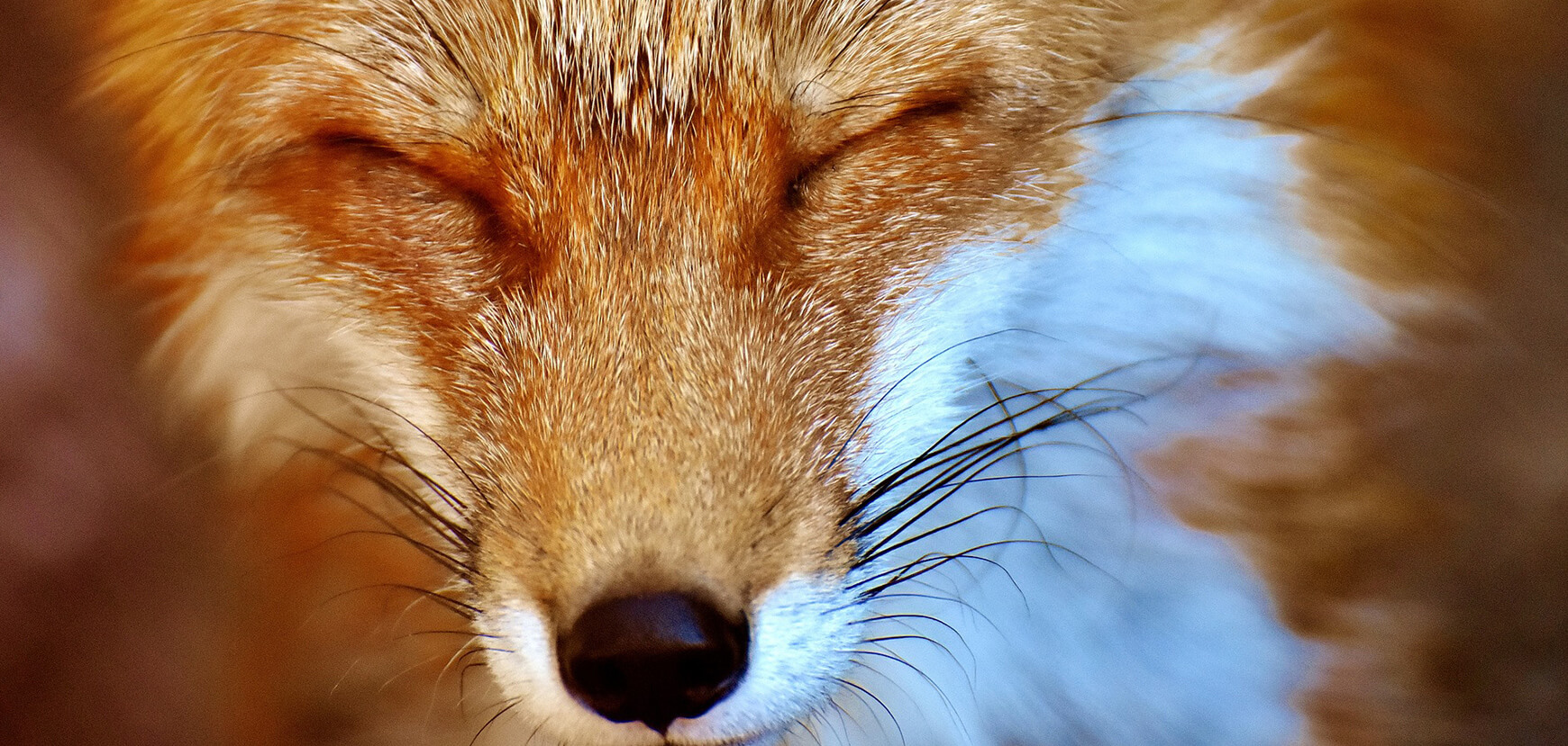 mapStateToPropsとmapDispatchToPropsの理解の仕方